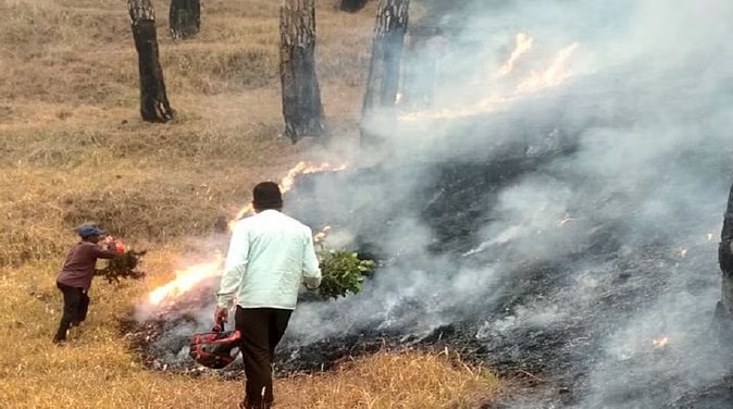 कैसे बुझे जंगलों की आग जब सरकारी महकमे के आंकड़े अलग-अलग, सबको आगे निकलने की होड़