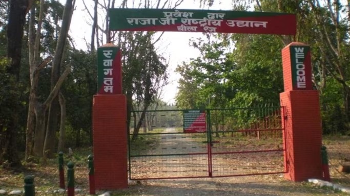 राजाजी नेशनल पार्क के नए निदेशक की नियुक्ति पर उत्तराखंड मचा बवाल