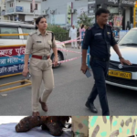 सड़क पर उतरीं ‘लेडी सिंघम’ तो ट्रैफिक नियम तोड़ने वालों में मची खलबली
