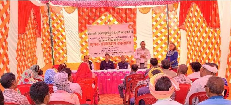 सीआईआरसी ने करघाटा में पशु स्वास्थ्य शिविर का आयोजन किया