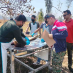 कॉर्बेट में बाघिन मृत पाई गई, किसी गड़बड़ी की आशंका नहीं
