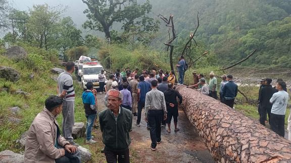अंधड़ में गिरे पेड़, बारिश से फसलें बर्बाद