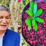 हरीश रावत की काफल पार्टी आज