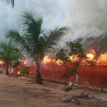 मुर्गी फार्म में आग से भारी नुकसान, 2 हजार मुर्गियों की मौत