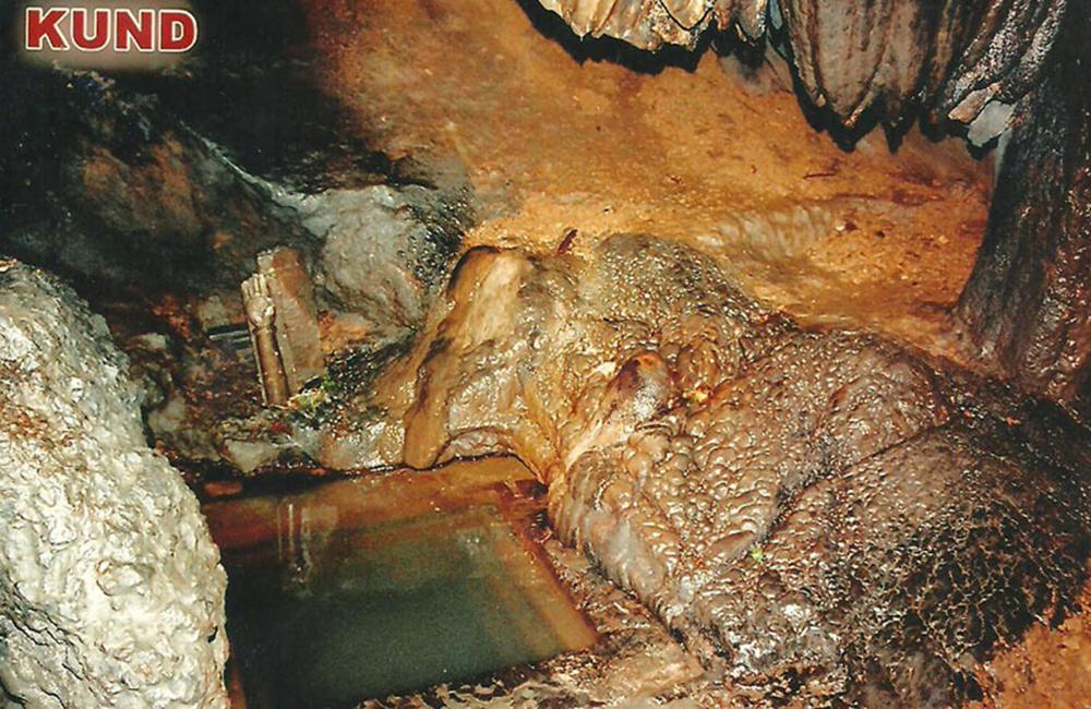 नए साल में चौकोड़ी व पाताल भुवनेश्वर में पर्यटक की धूम ऑनलाइन बुकिंग बढ़ी