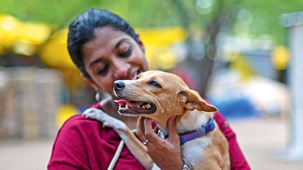 उत्तराखंड में पालतू कुत्तों पर सख्ती, खुला छोड़ने पर 20 हजार का जुर्माना